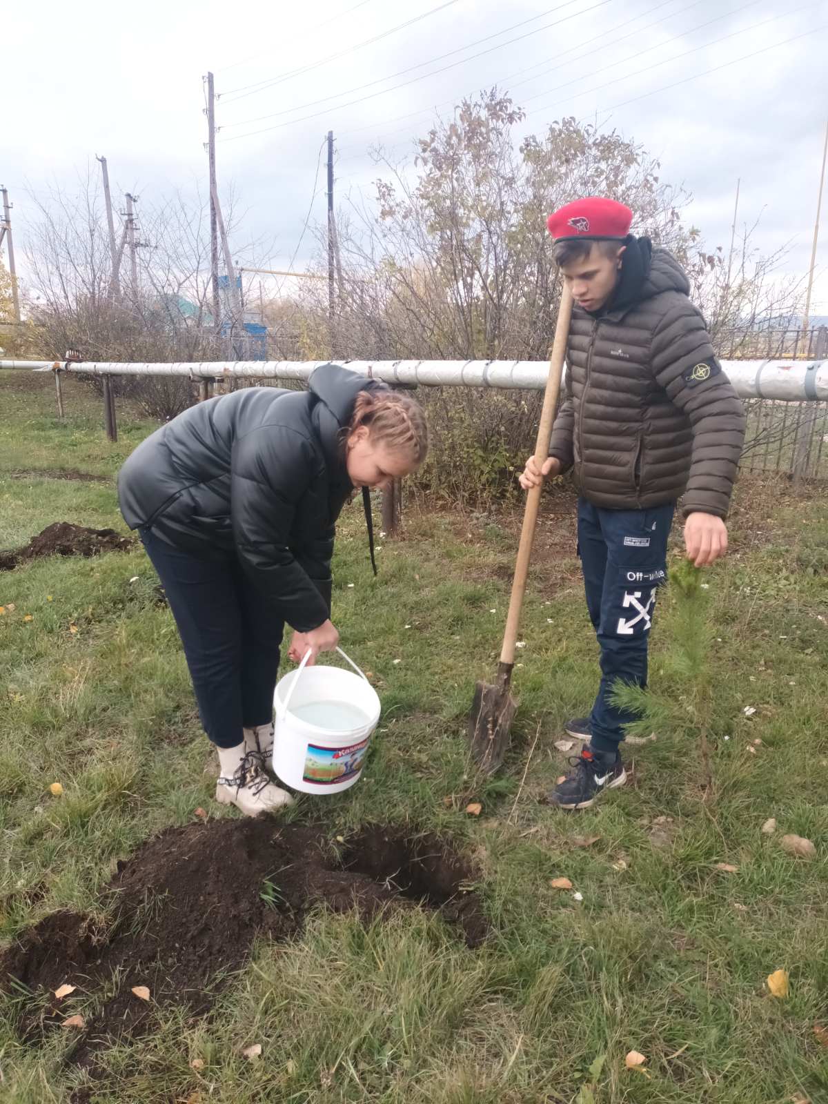 Акция «Посади дерево!»