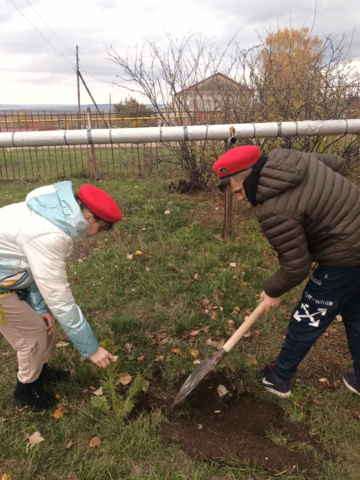 Акция «Посади дерево!»