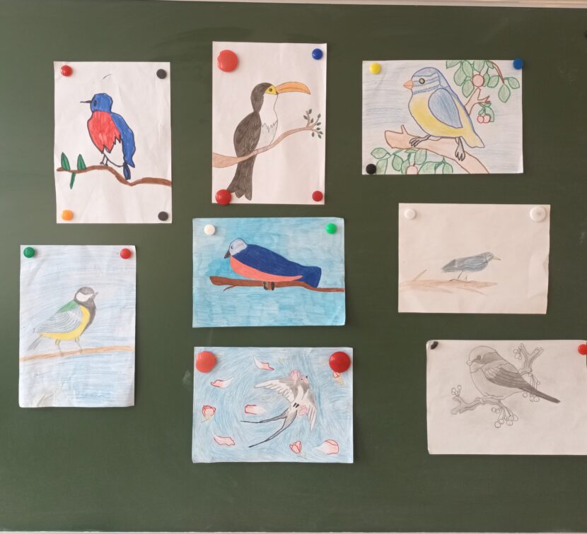 Выставка детских рисунков «День птиц»