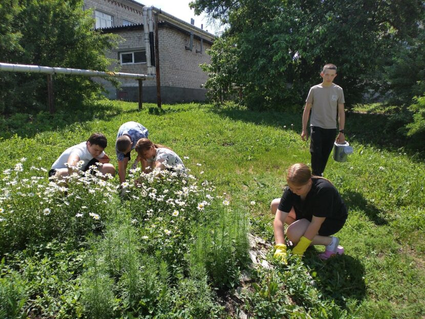 В мире прекрасного