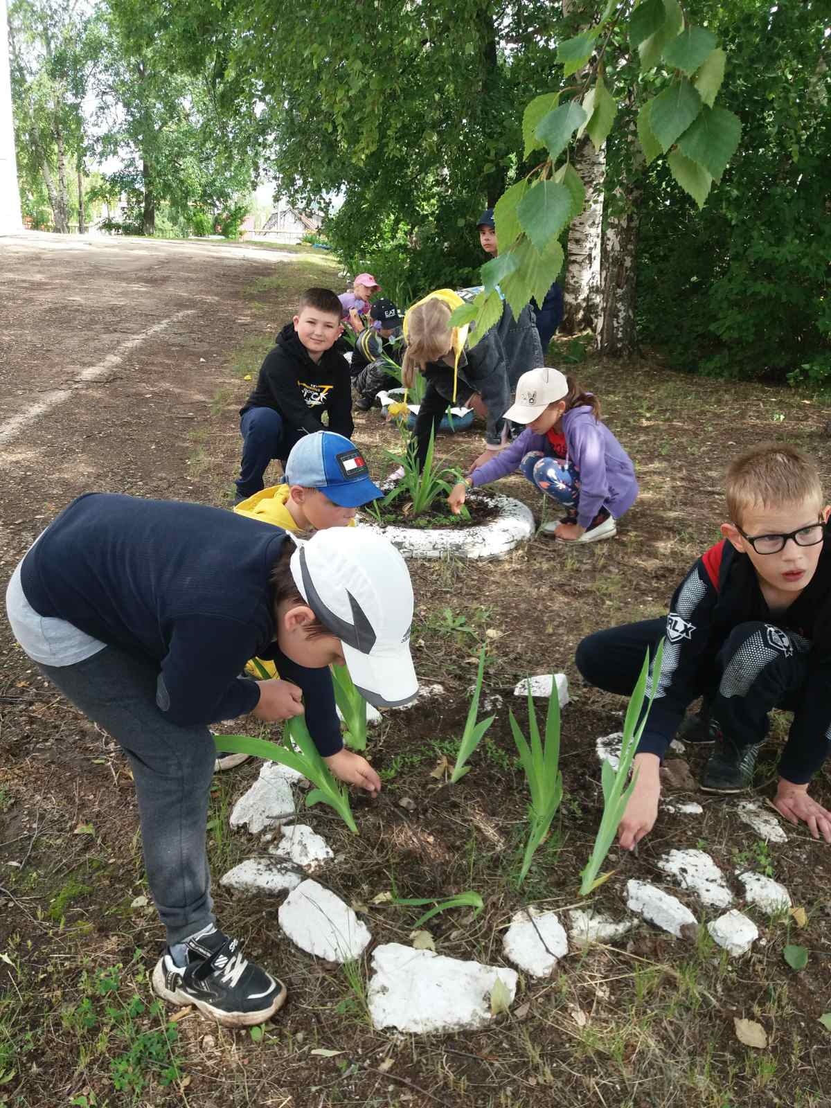 В мире прекрасного