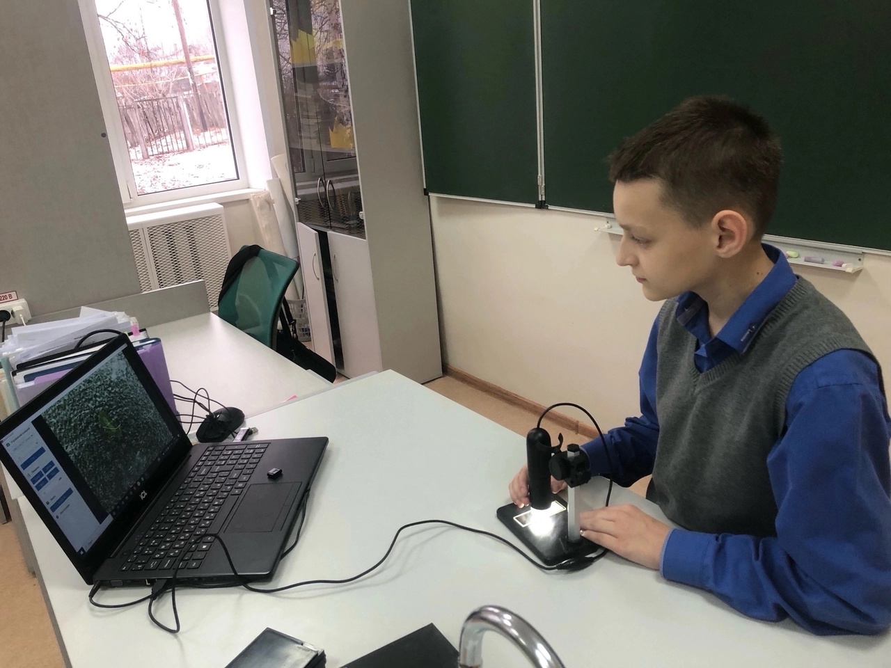 Практическая работа: «Изучение строения одноклеточных и многоклеточных плесневых грибов»