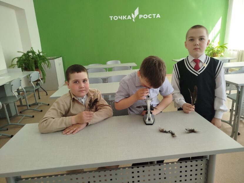 Где зимуют птицы?