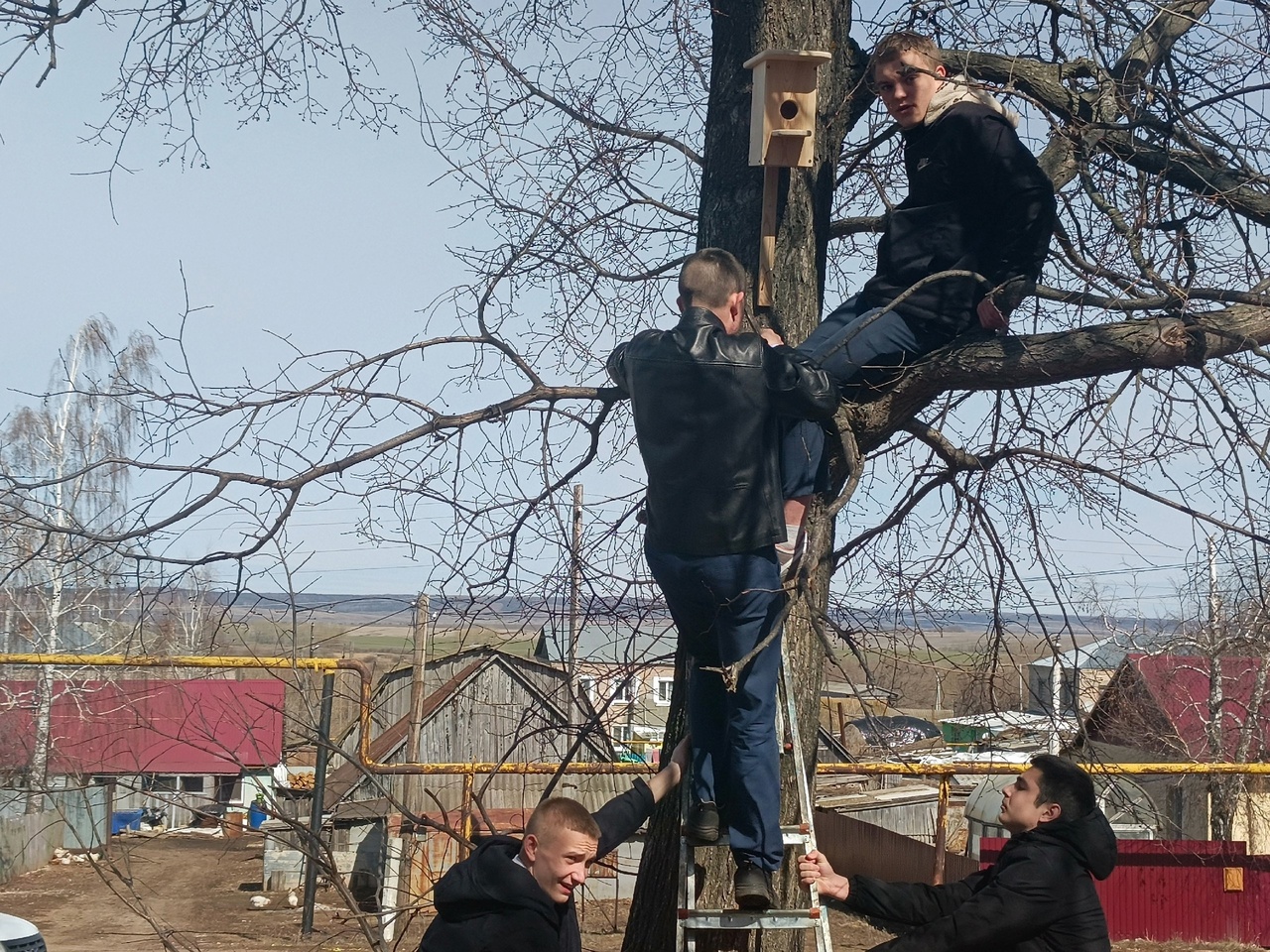 Мероприятия проведенные в музее