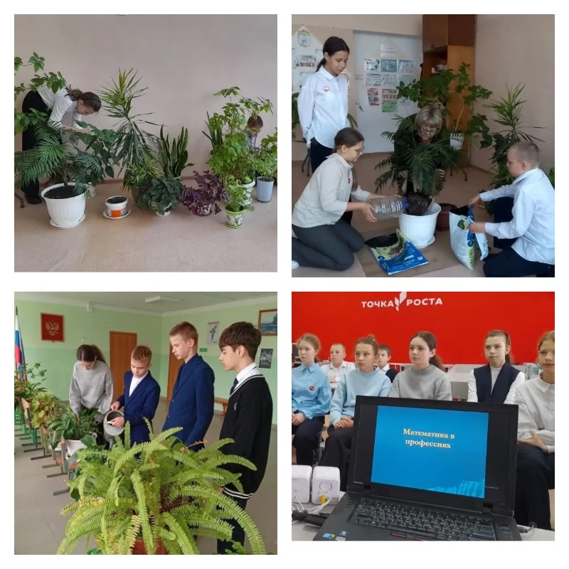 Мир профессий