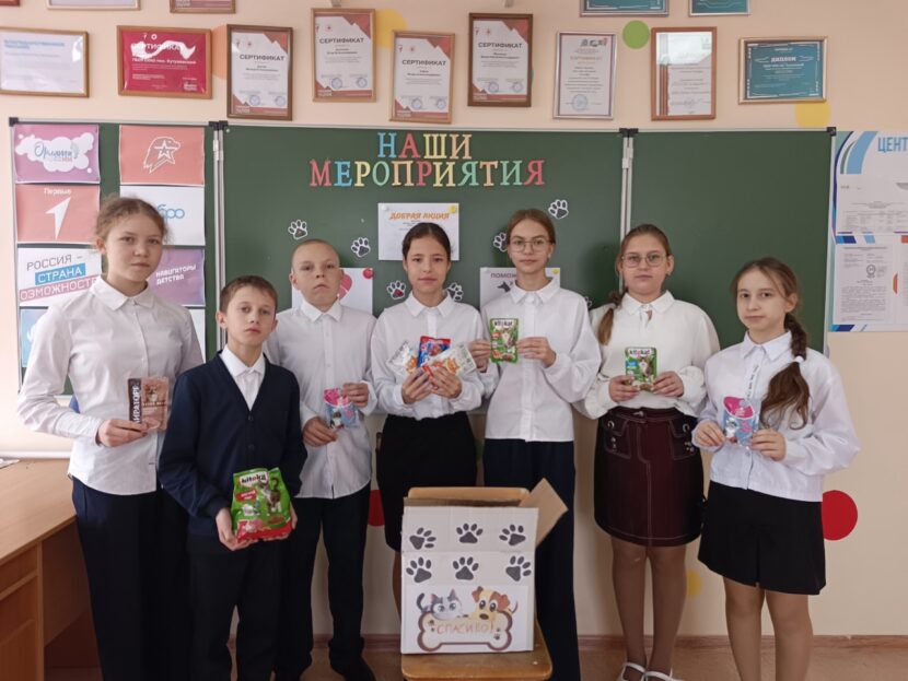 Доброе дело: «Лапа помощи»