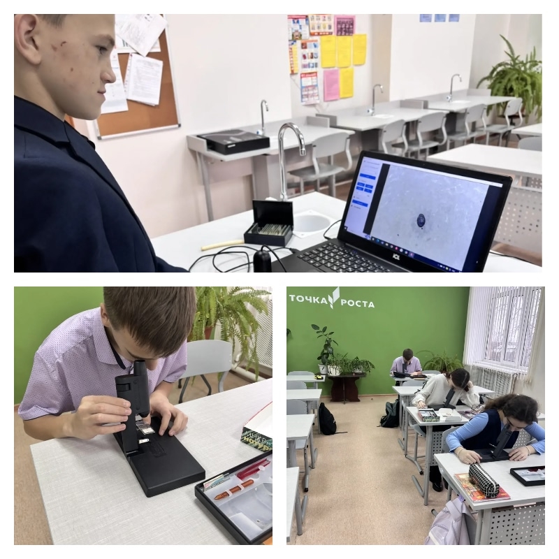 Погружение в микромир: лаборатория «Точки роста» открыла тайны пресноводной гидры