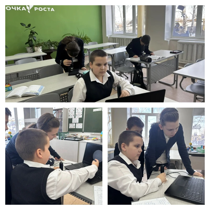 Изучение клеток кожицы чешуи лука под микроскопом